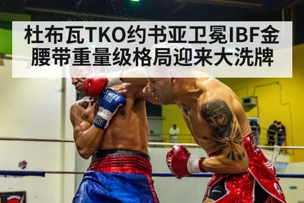 boxing knockout punch - KAIYUNAPP