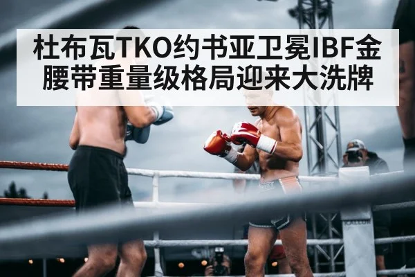 boxer in ring